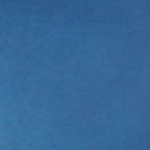 Meet your Posher, Tavia